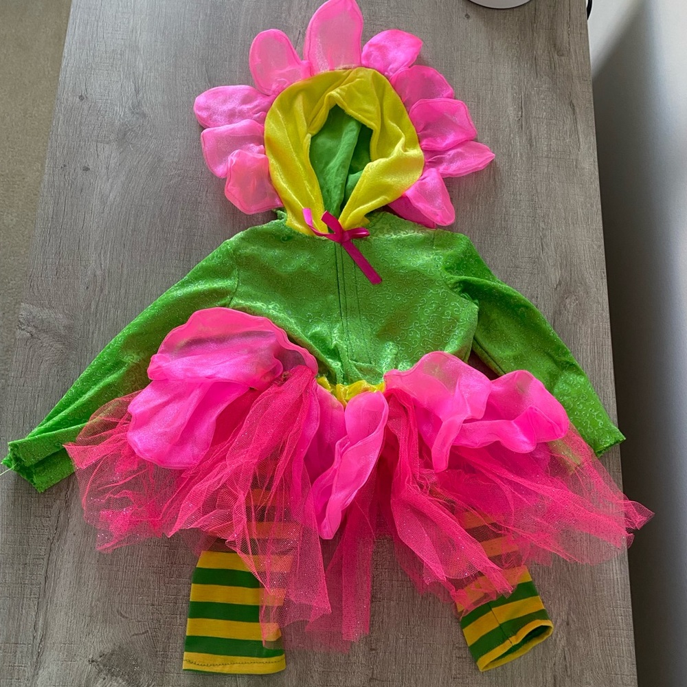 Never Worn Toddler Flower Halloween Costume